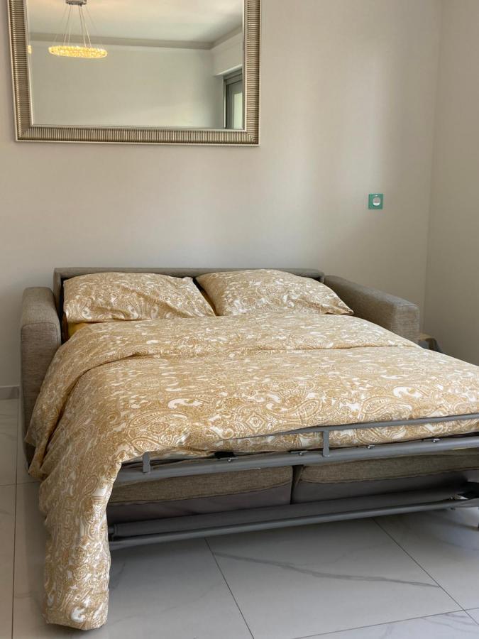 Le Royal, Spacious Seaside Apartment Rooftop And Pool Ница Екстериор снимка