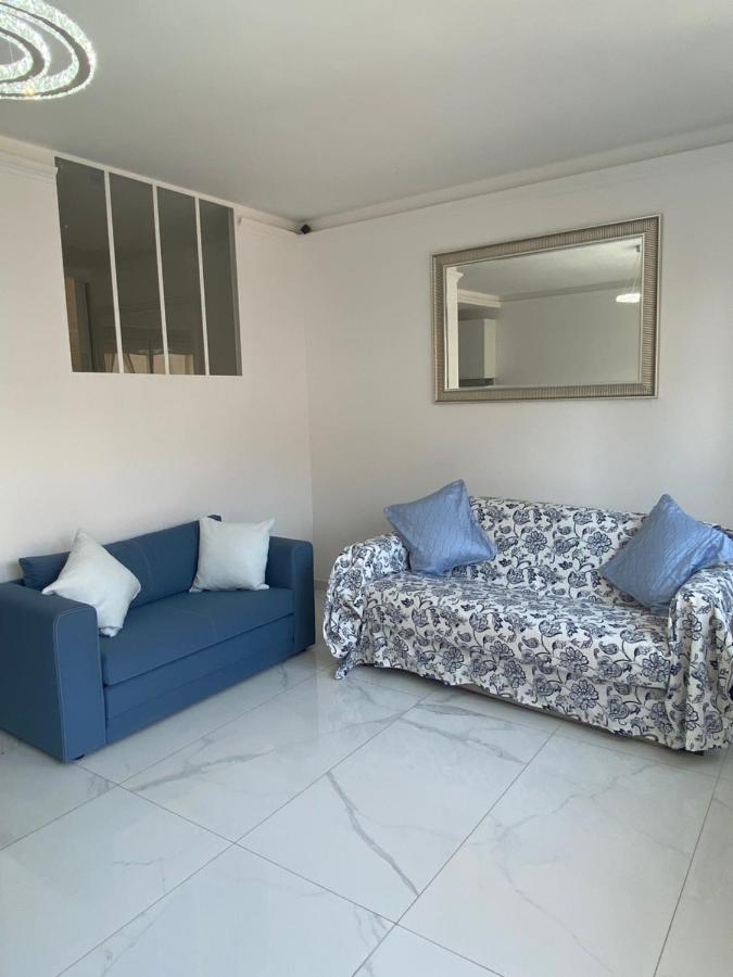 Le Royal, Spacious Seaside Apartment Rooftop And Pool Ница Екстериор снимка